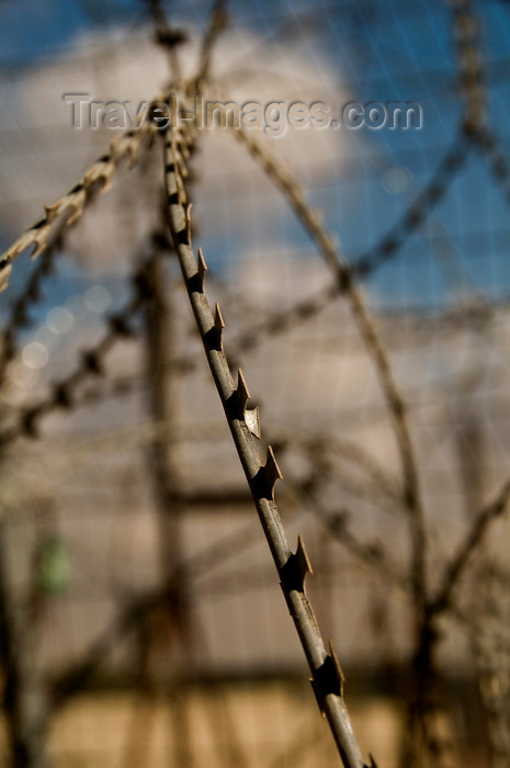 palest31: Bethlehem, West Bank, Palestine: razor wire near a checkpoint - photo by J.Pemberton - (c) Travel-Images.com - Stock Photography agency - Image Bank