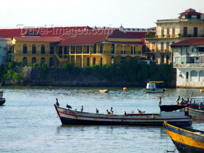 panama106: Panama City: Pelicans resting on fishing boats, early in the morning - El Terraplan, Casco Viejo - photo by H.Olarte - (c) Travel-Images.com - Stock Photography agency - Image Bank