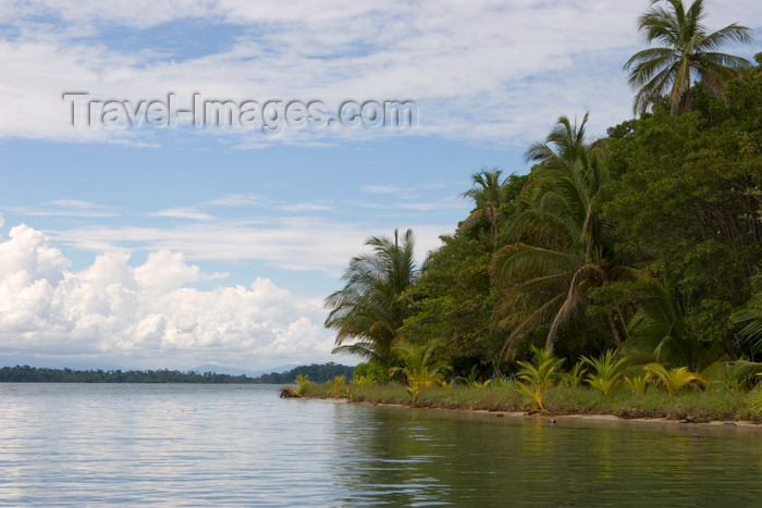 panama196: Panama - Bocas del Toro - Caribbean Island - photo by H.Olarte - (c) Travel-Images.com - Stock Photography agency - Image Bank