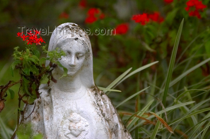 panama226: Panama - Cerro Azul: run down statue of the Virgin Mary sourrounded by red flowers stands at the entrance of a Catholic home - photo by H.Olarte - (c) Travel-Images.com - Stock Photography agency - Image Bank