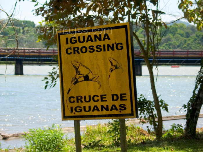 panama244: Panama Canal - Iguana crossing sign - Gamboa - photo by H.Olarte - (c) Travel-Images.com - Stock Photography agency - Image Bank