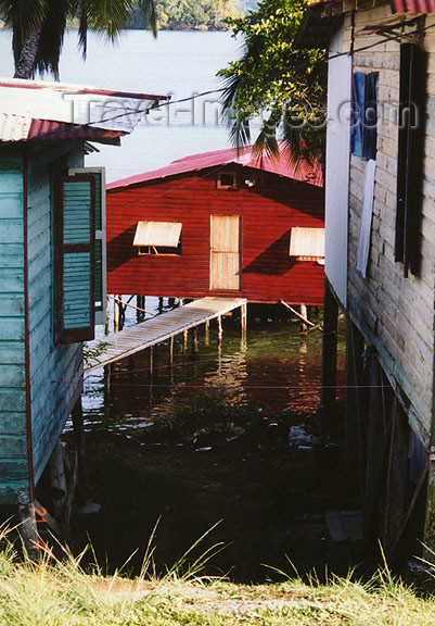 panama28: Panama - Bastimentos Island: village of banana workers - houses are often built over the water - photo by G.Frysinger - (c) Travel-Images.com - Stock Photography agency - Image Bank