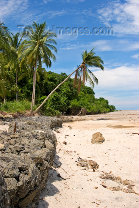 panama350: Panama province - white sand beach - sea erosion control using gabions - photo by H.Olarte - (c) Travel-Images.com - Stock Photography agency - Image Bank