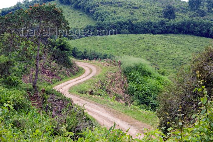 panama518: Capira, Panama province: winding country road - photo by H.Olarte - (c) Travel-Images.com - Stock Photography agency - Image Bank