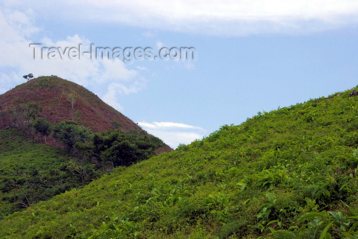 panama521: Capira, Panama province: rolling hills - photo by H.Olarte - (c) Travel-Images.com - Stock Photography agency - Image Bank