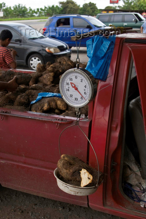 panama523: Capira, Panama province: yam on a scale - road side sales from a pick-up truck - ñame - inhame - photo by H.Olarte - (c) Travel-Images.com - Stock Photography agency - Image Bank