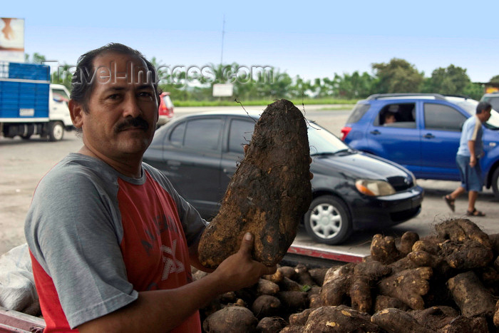 panama524: Capira, Panama province: yam seller - ñame - inhame - photo by H.Olarte - (c) Travel-Images.com - Stock Photography agency - Image Bank