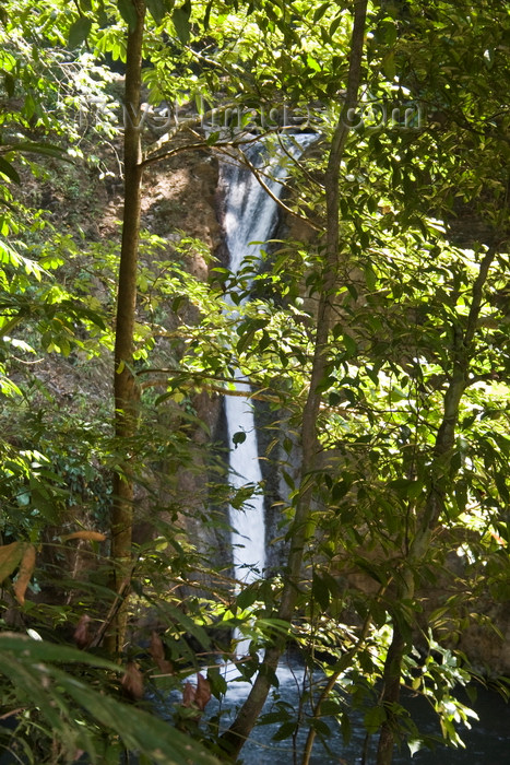 panama525: Cerro Azul, Panama province: rainforest waterfall - photo by H.Olarte - (c) Travel-Images.com - Stock Photography agency - Image Bank