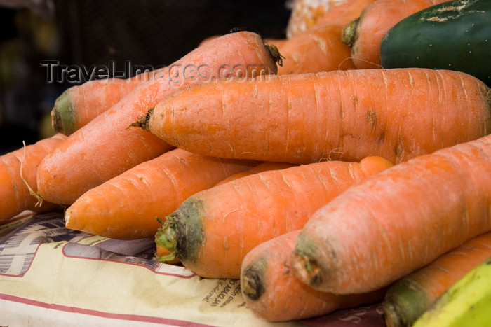 panama552: Penonomé, Coclé province, Panama: carrots close up - Public Market - photo by H.Olarte - (c) Travel-Images.com - Stock Photography agency - Image Bank