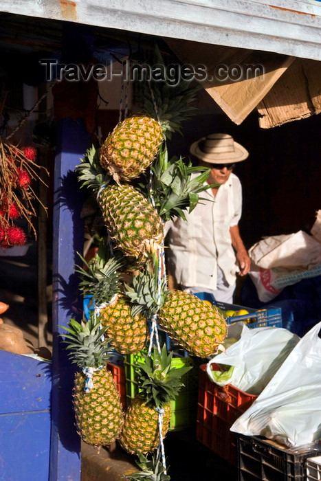 panama603: Santiago de Veraguas, Panama: pineapples for sale at El Mosquero, - photo by H.Olarte - (c) Travel-Images.com - Stock Photography agency - Image Bank