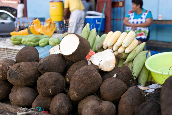 panama605: Santiago de Veraguas, Panama: yams for sale at El Mosquero market - photo by H.Olarte - (c) Travel-Images.com - Stock Photography agency - Image Bank