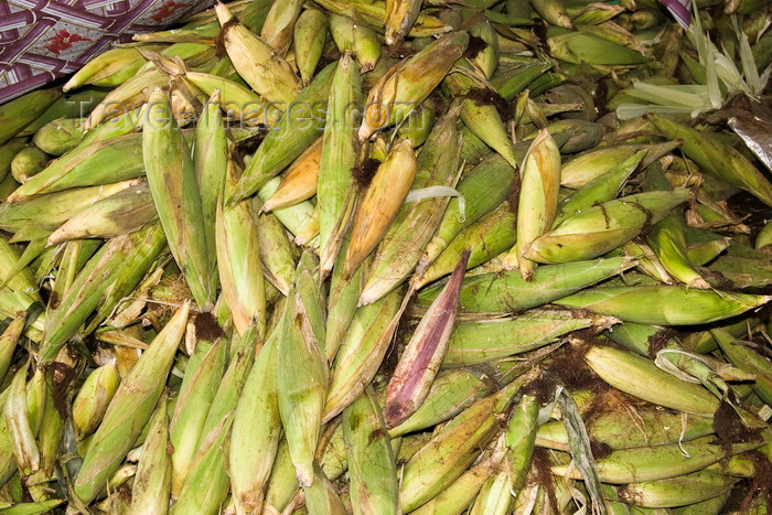 panama617: La Villa, Azuero, Los Santos province, Panama: corn cobs at El Ciruelo folk food place - photo by H.Olarte - (c) Travel-Images.com - Stock Photography agency - Image Bank