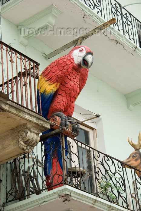 panama72: Panama - Panama City - street View of old Panama City showing large wooden parrot on a balcony - photo by D.Smith - (c) Travel-Images.com - Stock Photography agency - Image Bank
