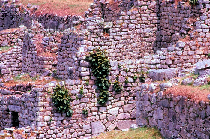 peru17: Machu Pichu, Cusco region, Peru: terracing - terraces and walls - Unesco world heritage site - photo by J.Fekete - (c) Travel-Images.com - Stock Photography agency - Image Bank