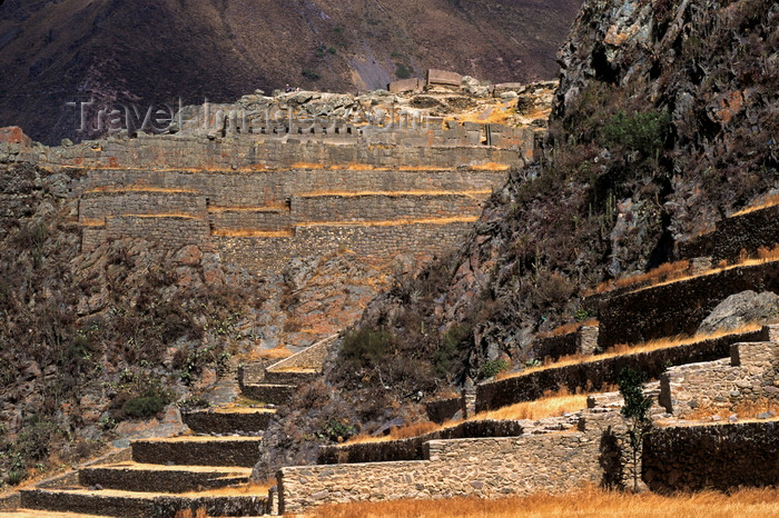 peru190: Ollantaytambo, Cuzco region, Peru: temple at the top and stone terraces still used today - Sacred Valley- photo by C.Lovell - (c) Travel-Images.com - Stock Photography agency - Image Bank