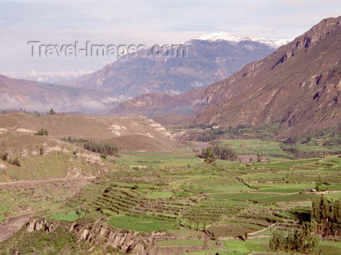 peru23: Peru - Cañon del Colca (Arequipa region): descending to the Colca river - photo by M.Bergsma - (c) Travel-Images.com - Stock Photography agency - Image Bank