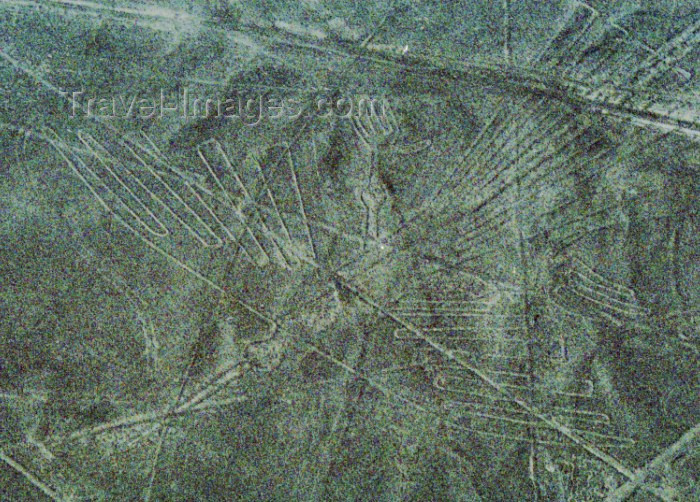 peru25: Nazca / Nasca, Ica region, Peru: the bird from the air - Nasca lines - geoglyphs - UNESCO world heritage - photo by M.Bergsma - (c) Travel-Images.com - Stock Photography agency - Image Bank