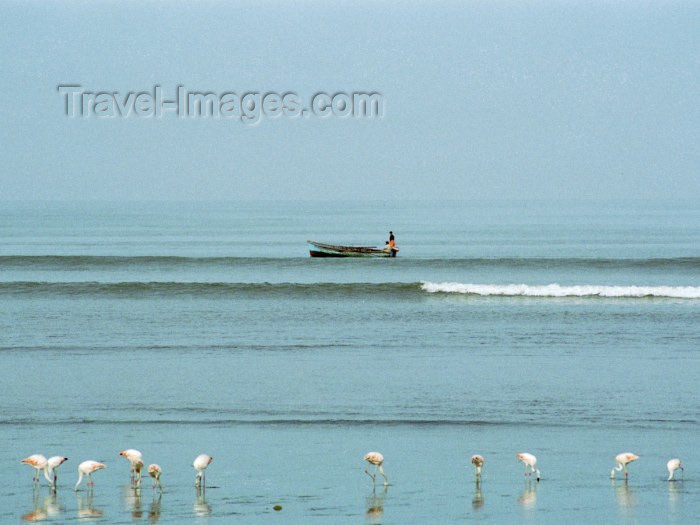 peru29: Paracas National Reserve / Reserva Nacional de Paracas, Ica region, Provincia de Pisco, Peru: the fishermen and the flamingos - photo by M.Bergsma - (c) Travel-Images.com - Stock Photography agency - Image Bank