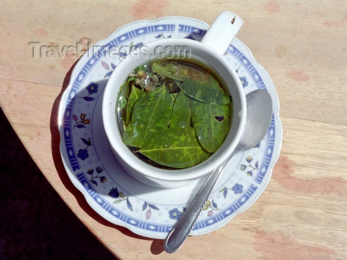 peru49: Peru - Cañon del Colca / Colca Canyon (Arequipa region): Coca leaves - local tea - photo by M.Bergsma - (c) Travel-Images.com - Stock Photography agency - Image Bank