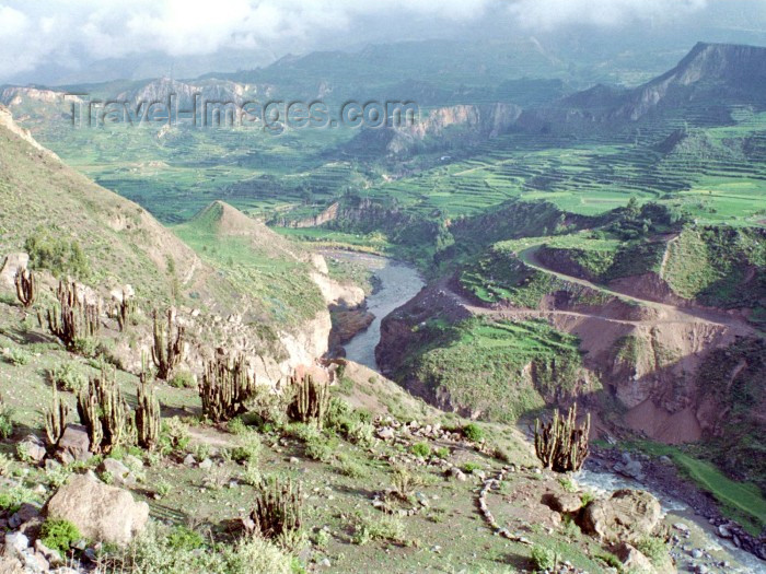 peru50: Peru - Cañon del Colca / Colca Canyon (Arequipa region):  the Canyon itself - photo by M.Bergsma - (c) Travel-Images.com - Stock Photography agency - Image Bank