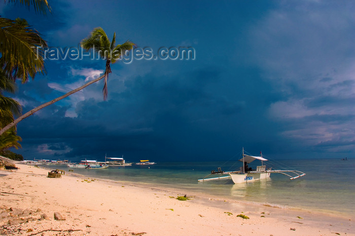 phil51: Alona Beach, Bohol island, Central Visayas, Philippines: leaning coconut tree and banca boat on the beach - photo by S.Egeberg - (c) Travel-Images.com - Stock Photography agency - Image Bank