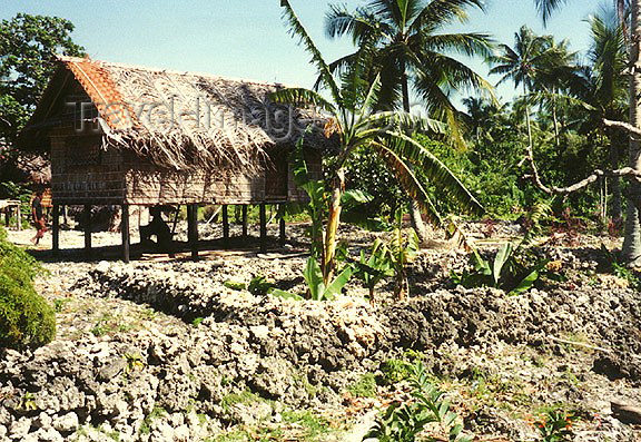 png33 PNG Papua New Guinea