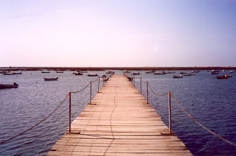 portugal-fa22: Portugal - Algarve - Faro: pier into the Ria Formosa natural reserve / pontão para a Reserva Natural da Ria Formosa - photo by M.Durruti - (c) Travel-Images.com - Stock Photography agency - Image Bank