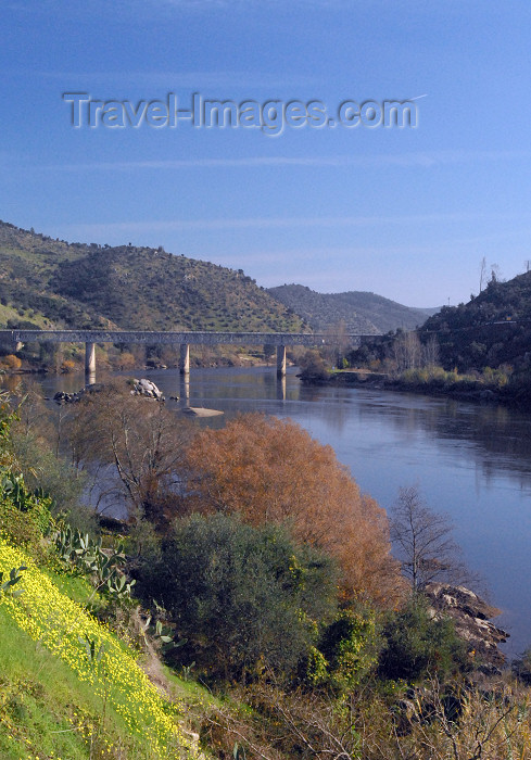 portugal-pa47: Belver (Gavião municipality) - Portugal: view over the Tagus - vista sobre o Tejo  - photo by M.Durruti - (c) Travel-Images.com - Stock Photography agency - Image Bank