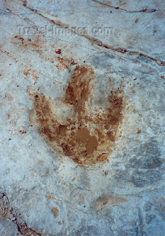 portugal-sa46: Portugal - Ribatejo - Pé da Pedreira (Alcanede, concelho de Santarem): pegadas de dinossauro / Pé da Pedreira: dinosaur footprint - photo by M.Durruti - (c) Travel-Images.com - Stock Photography agency - Image Bank