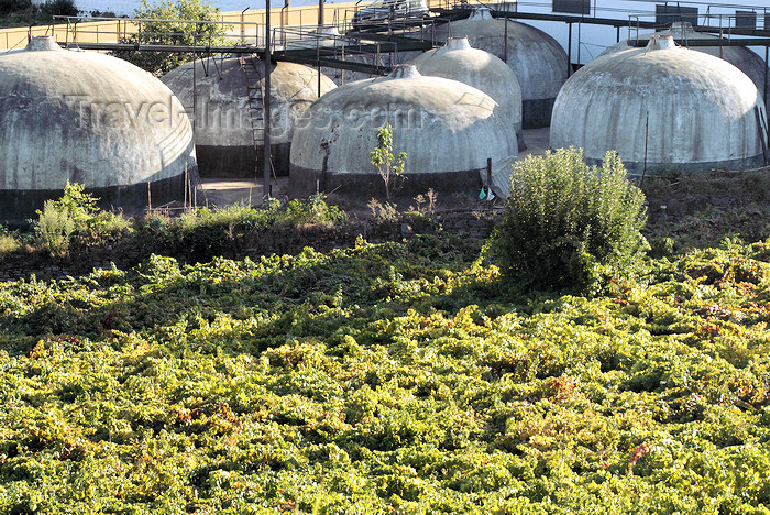 portugal-vr23: Peso da Régua, Vila Real - Portugal: vineyards and wine storage tanks - vinhas e cubas de vinho - photo by M.Durruti - (c) Travel-Images.com - Stock Photography agency - Image Bank