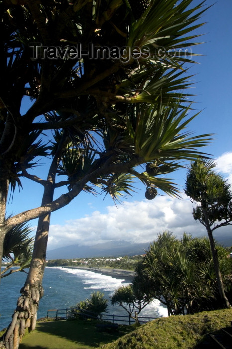 reunion100: Réunion - Pointe Bourbier: looking down - pandanus  - photo by Y.Guichaoua - (c) Travel-Images.com - Stock Photography agency - Image Bank