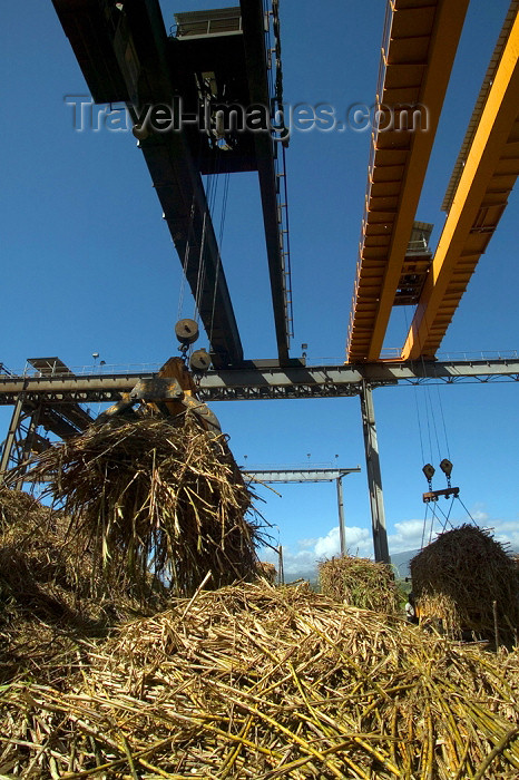 reunion128: Réunion (north-east)- Saint-André - Bois Rouge: sugar refinery - moving sugarcane - photo by Y.Guichaoua - (c) Travel-Images.com - Stock Photography agency - Image Bank