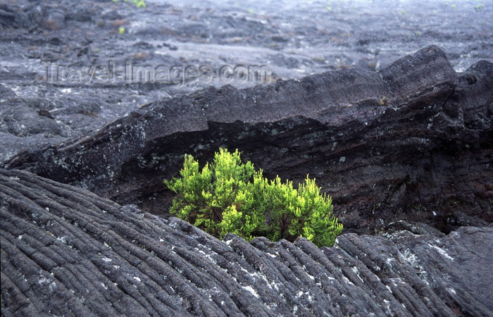 reunion53: Reunion / Reunião - Mont Piton de la Fournaise: Vulcano / vulkan - pahoehoe Pahoehoe lava has either a smooth, glassy surface or a distinctive, ropy texture - photo by W.Schipper - (c) Travel-Images.com - Stock Photography agency - Image Bank