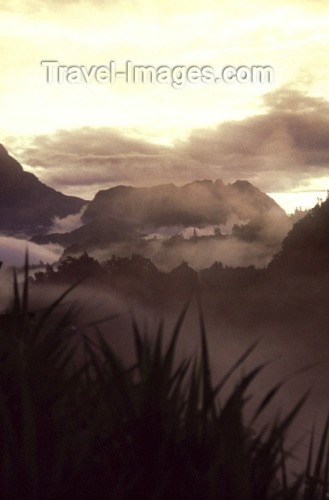 reunion58: Reunion / Reunião - Salazie: mist and clouds - photo by W.Schipper - (c) Travel-Images.com - Stock Photography agency - Image Bank