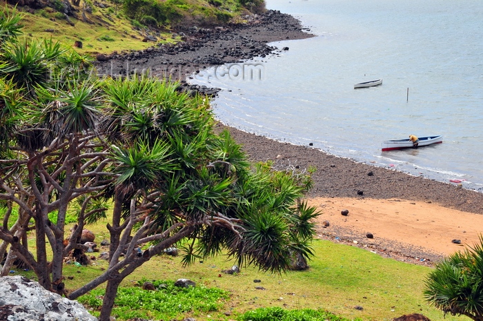 rodrigues10: Anse Tamarin, Rodrigues island, Mauritius: vacoas trees over a rocky beach with fishing boats - photo by M.Torres - (c) Travel-Images.com - Stock Photography agency - Image Bank