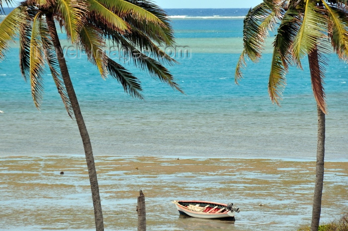 rodrigues19: Anse Mourouk, Rodrigues island, Mauritius: coconut trees, fishing boat and the waters of the lagoon - photo by M.Torres - (c) Travel-Images.com - Stock Photography agency - Image Bank