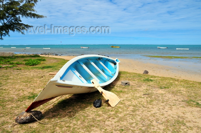 rodrigues25: Anse Mourouk, Rodrigues island, Mauritius: rudder standing against a small fishing boat on the beach - photo by M.Torres - (c) Travel-Images.com - Stock Photography agency - Image Bank