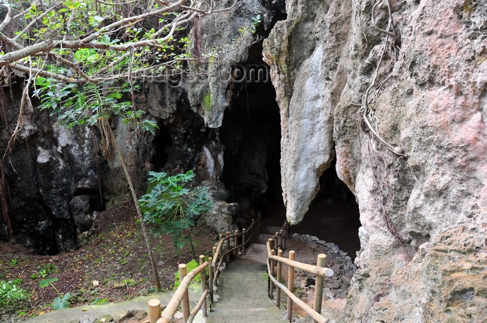 rodrigues3: Caverne Patate, Rodrigues island, Mauritius: stairs down to the Caverne Patate caves - photo by M.Torres - (c) Travel-Images.com - Stock Photography agency - Image Bank