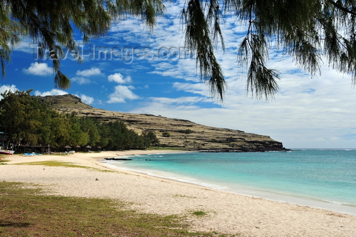 rodrigues34: Pointe Coton beach, Rodrigues island, Mauritius: beach and Casuarina trees - photo by M.Torres - (c) Travel-Images.com - Stock Photography agency - Image Bank