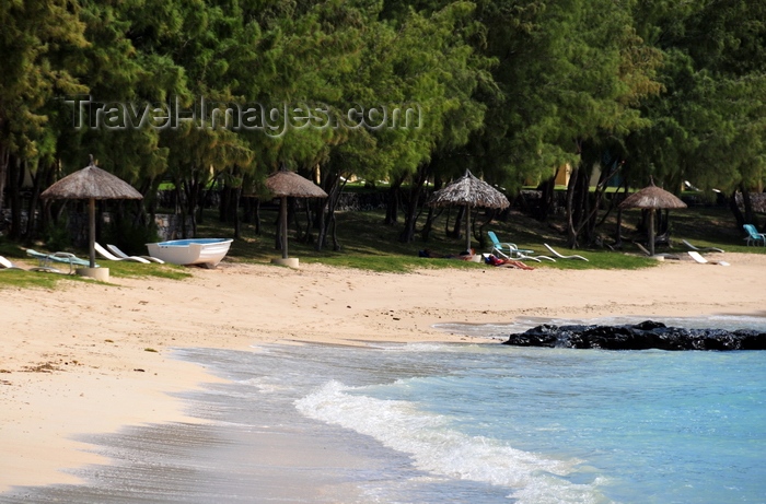 rodrigues36: Pointe Coton beach, Rodrigues island, Mauritius: beach parasols and Casuarina trees - photo by M.Torres - (c) Travel-Images.com - Stock Photography agency - Image Bank