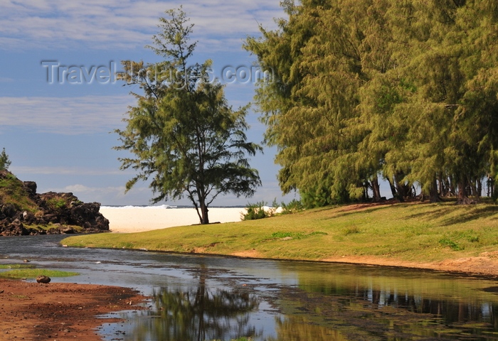 rodrigues40: Pointe Longue, Rodrigues island, Mauritius: winding stream, casuarina trees and white sand of the beach - Indian ocean on the horizon - photo by M.Torres - (c) Travel-Images.com - Stock Photography agency - Image Bank