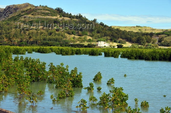 rodrigues69: Baie Malgache, Rodrigues island, Mauritius: hills and mangrove - photo by M.Torres - (c) Travel-Images.com - Stock Photography agency - Image Bank