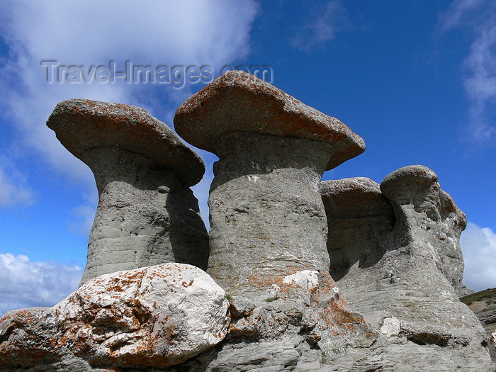 romania113: Bucegi National Park, Prahova county, Muntenia, Romania: Babele Natural Monument - hoodoos - mushroom shaped rock formations - 'old women' rocks - Muntii Bucegi - Southern Carpathians - photo by J.Kaman - (c) Travel-Images.com - Stock Photography agency - Image Bank