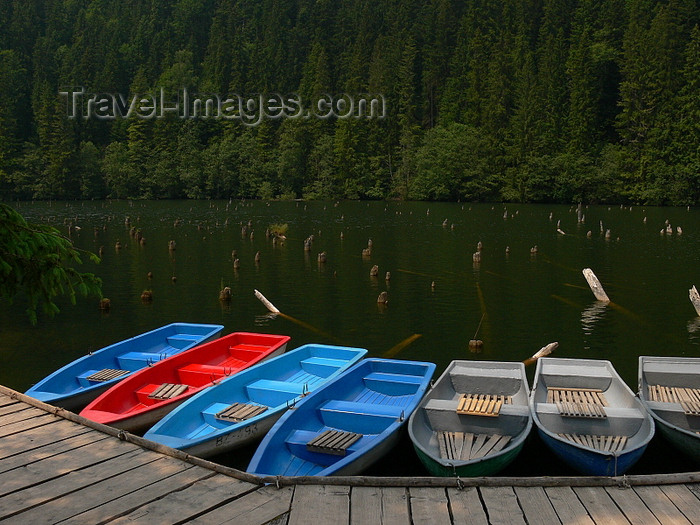 romania162: Harghita County, Transylvania, Romania: boats on Lacul Rosu - the red lake - Gyilkos-tó - photo by J.Kaman - (c) Travel-Images.com - Stock Photography agency - Image Bank
