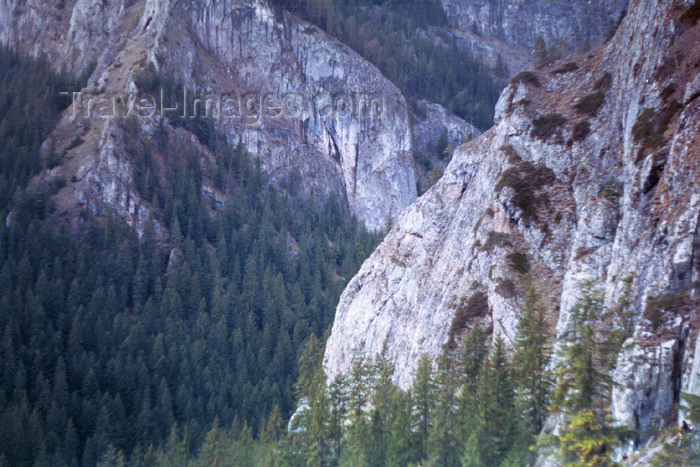 romania31: Romania - Gheorgheni - Harhita county: mountains near Lacu Rosu - Eastern Carpathians - photo by R.Ovidiu - (c) Travel-Images.com - Stock Photography agency - Image Bank