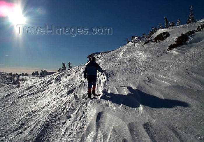 romania40: Romania - Muntii Ceahlau: on a slope - Eastern Carpathians - photo by R.Ovidiu - (c) Travel-Images.com - Stock Photography agency - Image Bank