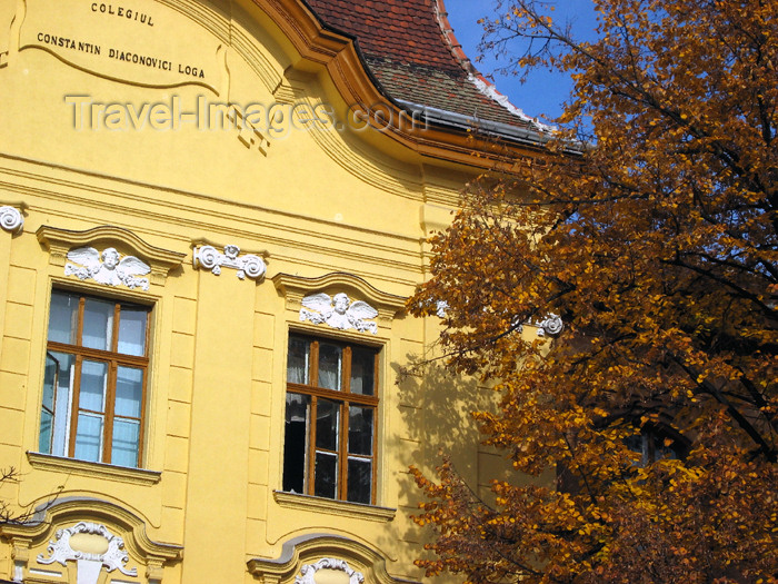 romania56: Romania - Timisoara: detail of school façade - Colegiul Constantin Diaconovici Loga - photo by *ve - (c) Travel-Images.com - Stock Photography agency - Image Bank