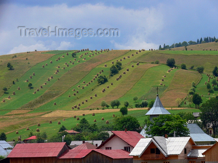 romania79: Gura Humorului, Suceava county, southern Bukovina, Romania: roof and rural landscape - long lines of haystacks - photo by J.Kaman - (c) Travel-Images.com - Stock Photography agency - Image Bank