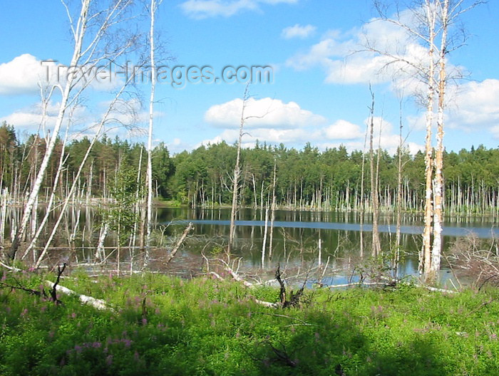 russia100: Russia - Meshera Forest  - Moscow oblast: Udarnik meterorite crater (photo by D.Ediev) - (c) Travel-Images.com - Stock Photography agency - Image Bank