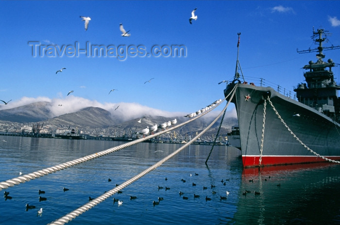 russia394: Russia - Novorossisk - Krasnodar kray: seagulls and a Russian naval vessel - warship - Black sea fleet - Russian Navy - photo by V.Sidoropolev - (c) Travel-Images.com - Stock Photography agency - Image Bank